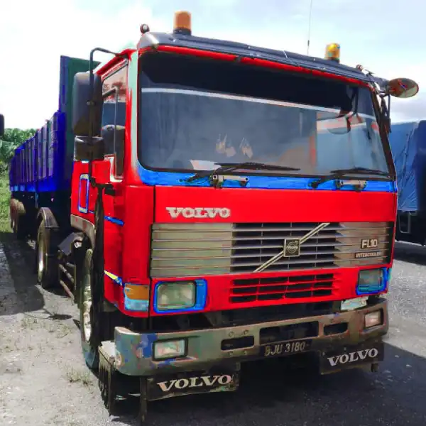domestic transportation services